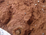 1,000lb USA Aircraft bomb excavated during building construction, downtown Koror, Republic of Palau.
